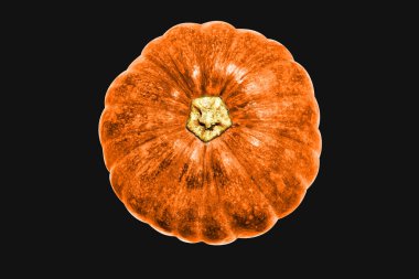 Siyah arka planda izole edilmiş balkabağı, kırpma yolu olmayan Cadılar Bayramı kabağı, gölgesiz, sonbahar arkaplanı, Şükran Günü balkabağı