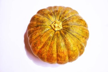 Beyaz arka planda izole edilmiş balkabağı, Cadılar Bayramı balkabağı, sonbahar arka planı, Şükran Günü balkabağı