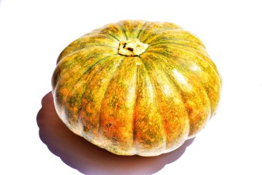 Beyaz arka planda izole edilmiş balkabağı, Cadılar Bayramı balkabağı, sonbahar arka planı, Şükran Günü balkabağı