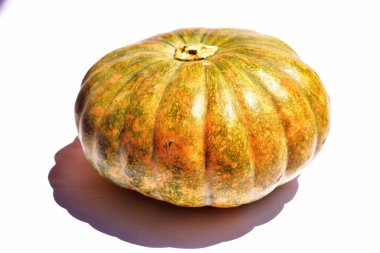 Beyaz arka planda izole edilmiş balkabağı, Cadılar Bayramı balkabağı, sonbahar arka planı, Şükran Günü balkabağı