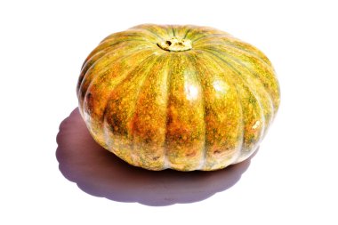 Beyaz arka planda izole edilmiş balkabağı, Cadılar Bayramı balkabağı, sonbahar arka planı, Şükran Günü balkabağı