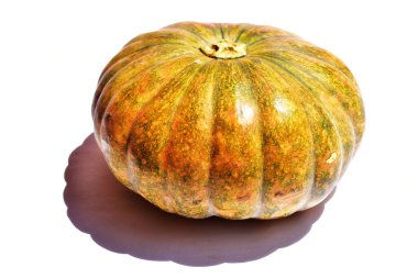 Beyaz arka planda izole edilmiş balkabağı, Cadılar Bayramı balkabağı, sonbahar arka planı, Şükran Günü balkabağı