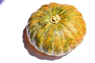 Beyaz arka planda izole edilmiş balkabağı, Cadılar Bayramı balkabağı, sonbahar arka planı, Şükran Günü balkabağı