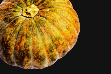 Beyaz arka planda izole edilmiş balkabağı, Cadılar Bayramı balkabağı, sonbahar arka planı, Şükran Günü balkabağı