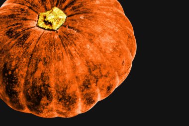 Beyaz arka planda izole edilmiş balkabağı, Cadılar Bayramı balkabağı, sonbahar arka planı, Şükran Günü balkabağı