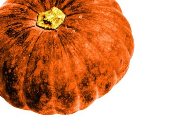 Beyaz arka planda izole edilmiş balkabağı, Cadılar Bayramı balkabağı, sonbahar arka planı, Şükran Günü balkabağı