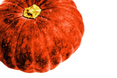 Beyaz arka planda izole edilmiş balkabağı, Cadılar Bayramı balkabağı, sonbahar arka planı, Şükran Günü balkabağı