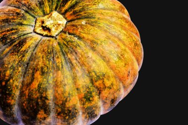 Beyaz arka planda izole edilmiş balkabağı, Cadılar Bayramı balkabağı, sonbahar arka planı, Şükran Günü balkabağı