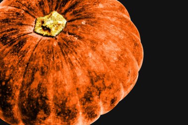 Beyaz arka planda izole edilmiş balkabağı, Cadılar Bayramı balkabağı, sonbahar arka planı, Şükran Günü balkabağı