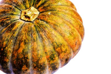 Beyaz arka planda izole edilmiş balkabağı, Cadılar Bayramı balkabağı, sonbahar arka planı, Şükran Günü balkabağı