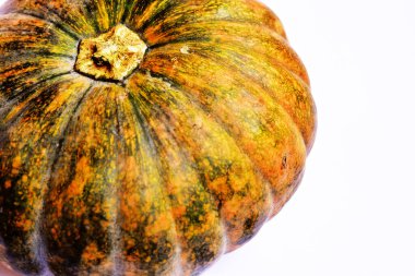 Beyaz arka planda izole edilmiş balkabağı, Cadılar Bayramı balkabağı, sonbahar arka planı, Şükran Günü balkabağı