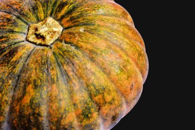 Beyaz arka planda izole edilmiş balkabağı, Cadılar Bayramı balkabağı, sonbahar arka planı, Şükran Günü balkabağı