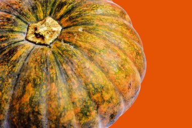 Beyaz arka planda izole edilmiş balkabağı, Cadılar Bayramı balkabağı, sonbahar arka planı, Şükran Günü balkabağı