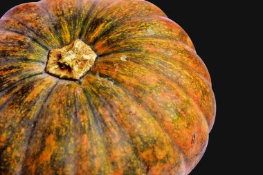 Beyaz arka planda izole edilmiş balkabağı, Cadılar Bayramı balkabağı, sonbahar arka planı, Şükran Günü balkabağı