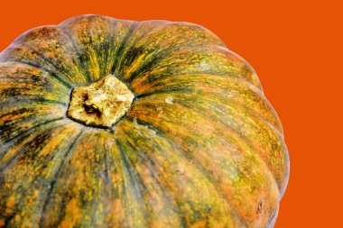 Beyaz arka planda izole edilmiş balkabağı, Cadılar Bayramı balkabağı, sonbahar arka planı, Şükran Günü balkabağı