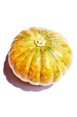 Beyaz arka planda izole edilmiş balkabağı, Cadılar Bayramı balkabağı, sonbahar arka planı, Şükran Günü balkabağı