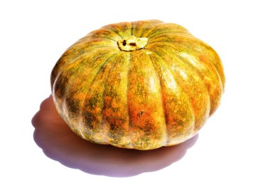 Beyaz arka planda izole edilmiş balkabağı, Cadılar Bayramı balkabağı, sonbahar arka planı, Şükran Günü balkabağı