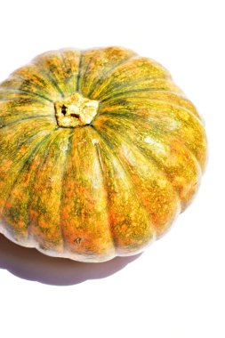 Beyaz arka planda izole edilmiş balkabağı, Cadılar Bayramı balkabağı, sonbahar arka planı, Şükran Günü balkabağı