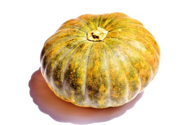 Beyaz arka planda izole edilmiş balkabağı, Cadılar Bayramı balkabağı, sonbahar arka planı, Şükran Günü balkabağı