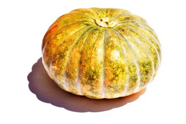 Beyaz arka planda izole edilmiş balkabağı, Cadılar Bayramı balkabağı, sonbahar arka planı, Şükran Günü balkabağı