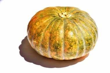 Beyaz arka planda izole edilmiş balkabağı, Cadılar Bayramı balkabağı, sonbahar arka planı, Şükran Günü balkabağı