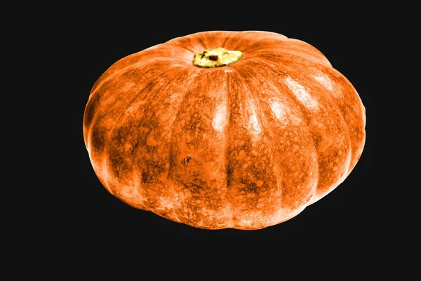 Zucca Isolata Sfondo Nero Zucca Halloween Con Percorso Ritaglio Senza — Foto Stock