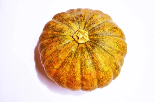 Citrouille Isolée Fond Blanc Halloween Citrouille Fond Automne Thanksgiving Citrouille — Photo