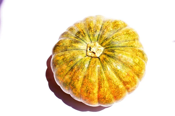 Beyaz arka planda izole edilmiş balkabağı, Cadılar Bayramı balkabağı, sonbahar arka planı, Şükran Günü balkabağı