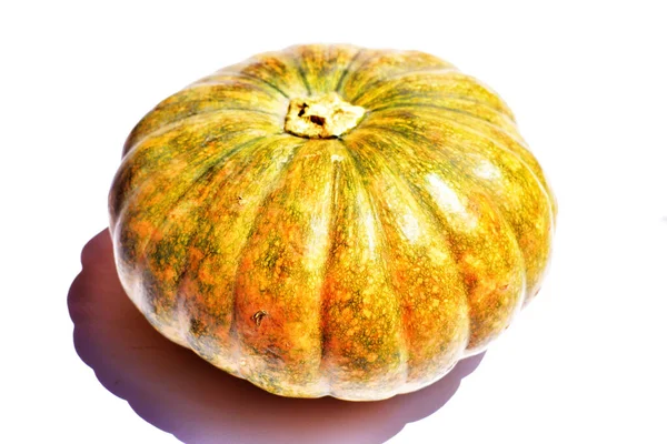 Beyaz arka planda izole edilmiş balkabağı, Cadılar Bayramı balkabağı, sonbahar arka planı, Şükran Günü balkabağı