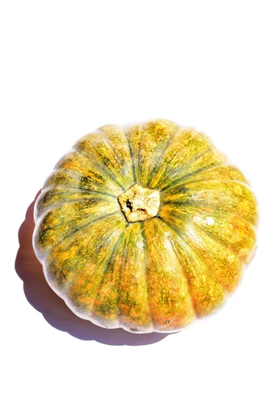 Calabaza Aislada Fondo Blanco Calabaza Halloween Fondo Otoño Calabaza Acción — Foto de Stock