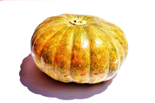 Calabaza Aislada Fondo Blanco Calabaza Halloween Fondo Otoño Calabaza Acción — Foto de Stock