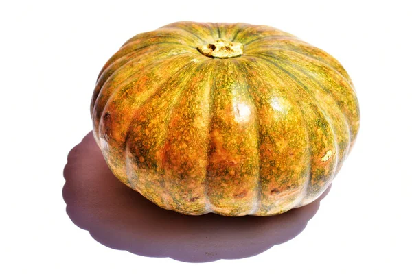 Beyaz arka planda izole edilmiş balkabağı, Cadılar Bayramı balkabağı, sonbahar arka planı, Şükran Günü balkabağı