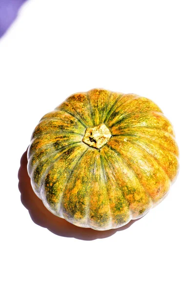 Calabaza Aislada Fondo Blanco Calabaza Halloween Fondo Otoño Calabaza Acción — Foto de Stock