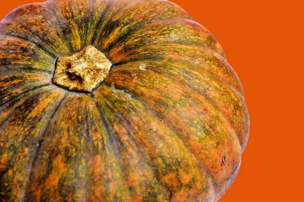Kürbis Isoliert Auf Weißem Hintergrund Halloween Kürbis Herbst Hintergrund Thanksgiving — Stockfoto