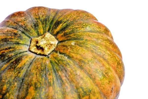 Beyaz arka planda izole edilmiş balkabağı, Cadılar Bayramı balkabağı, sonbahar arka planı, Şükran Günü balkabağı