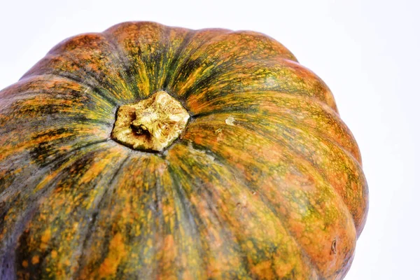 Beyaz arka planda izole edilmiş balkabağı, Cadılar Bayramı balkabağı, sonbahar arka planı, Şükran Günü balkabağı