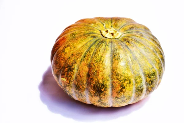 Calabaza Aislada Fondo Blanco Calabaza Halloween Fondo Otoño Calabaza Acción — Foto de Stock