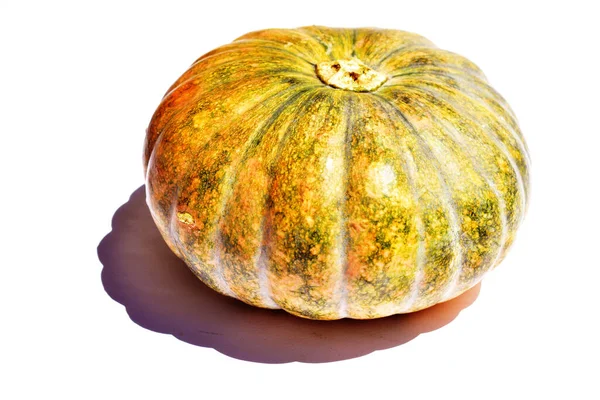 Calabaza Aislada Fondo Blanco Calabaza Halloween Fondo Otoño Calabaza Acción — Foto de Stock