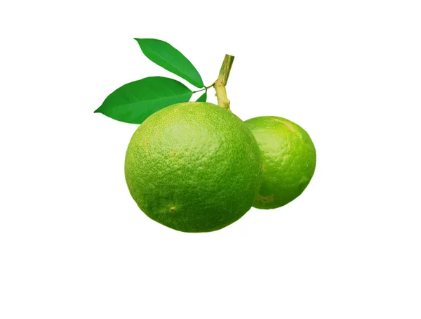 Limones Verdes Aislados Sobre Fondo Blanco — Foto de Stock