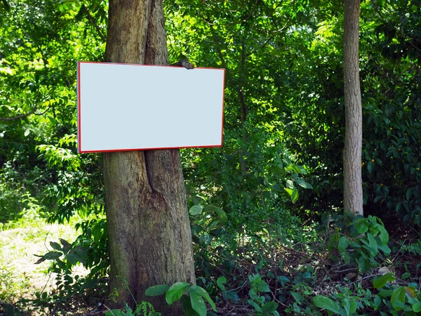 Billboard blank on trees in the forest