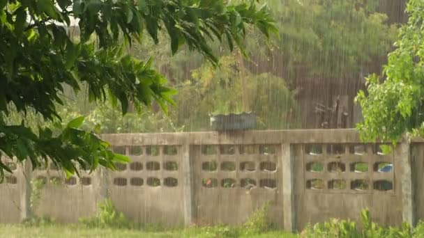 雨季开始时 路上的雨伴随着柔和的阳光穿透了美丽的雨 — 图库视频影像