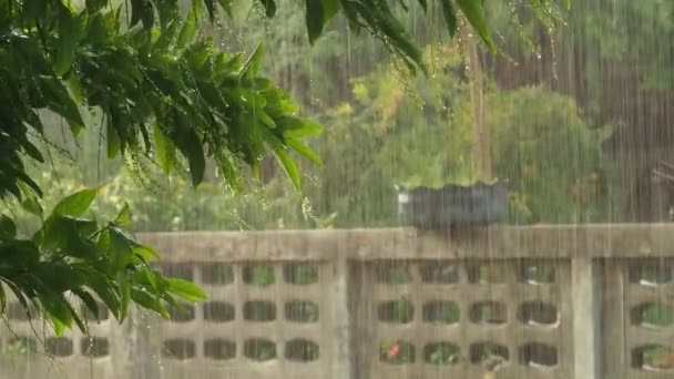 Pluie Sur Route Début Saison Des Pluies Avec Douce Lumière — Video