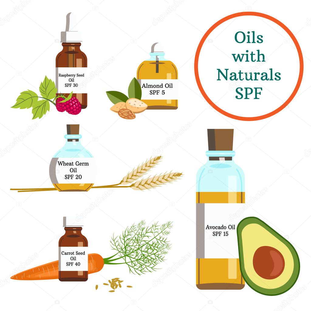 Oils with Naturals Spf. Essential Oil. Sunscreen. Sun protect. Organic Cosmetics. Raspberry, Almond, Wheat Germ, Carrot Seed, Avocado. Bottle with oils, with liquid Vector Illustration