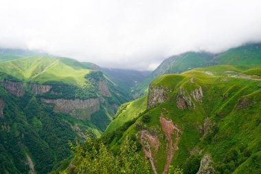 Dağlardaki yeşil vadi, bulutlu gri gün. Kafkasya Gürcistan 