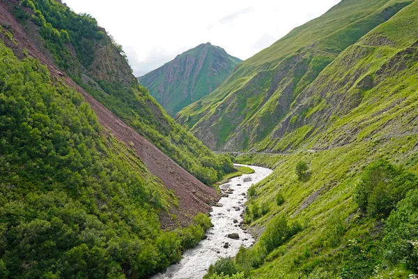 Zelené Hory Údolí Řeka Truso Valley Kavkaz Gruzie — Stock fotografie