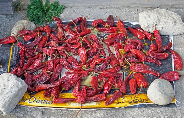 Red Chilies Sušení Venku Bhútán — Stock fotografie