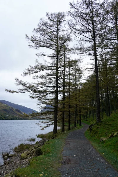 Buttermere Gölü Kıyısında Bir Patika — Stok fotoğraf