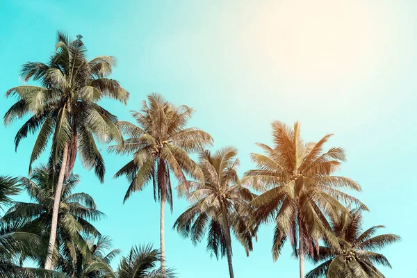 Palmeira Coco Ilha Tropical Com Céu Pastel Verde Conceito Verão — Fotografia de Stock