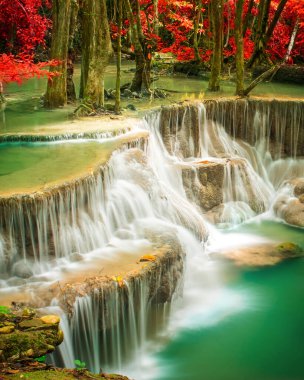 Doğada inanılmaz, sonbahar mevsiminde renkli sonbahar ormanlarında güzel şelale. 