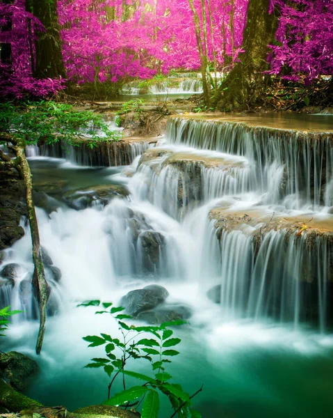Amazing in nature, beautiful waterfall at colorful autumn forest in fall season 